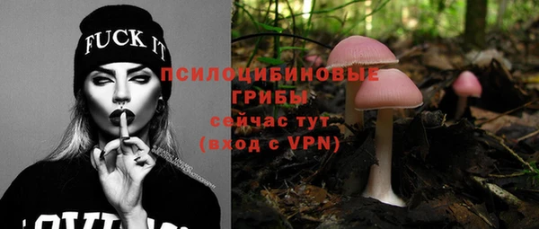 эйфоретик Краснослободск