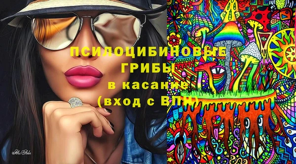 эйфоретик Краснослободск
