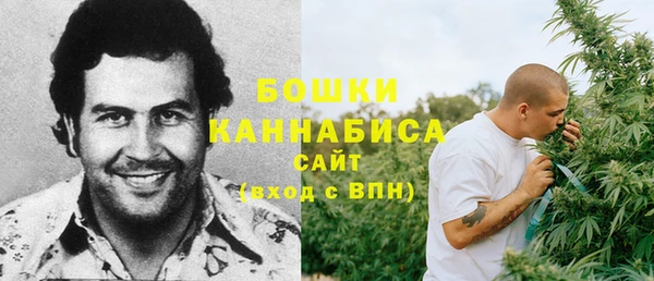 эйфоретик Краснослободск
