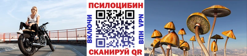 Псилоцибиновые грибы мухоморы купить наркотик Малоархангельск